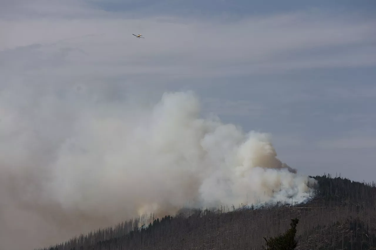 Feuer am Brocken im Harz - Löscharbeiten gehen weiter