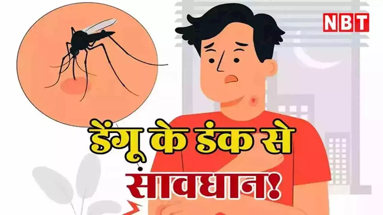 Bihar Dengue: पटना में डेंगू मरीजों की संख्या 400 के पार, लगातार दूसरे दिन मिले 33 नए पेशेंट