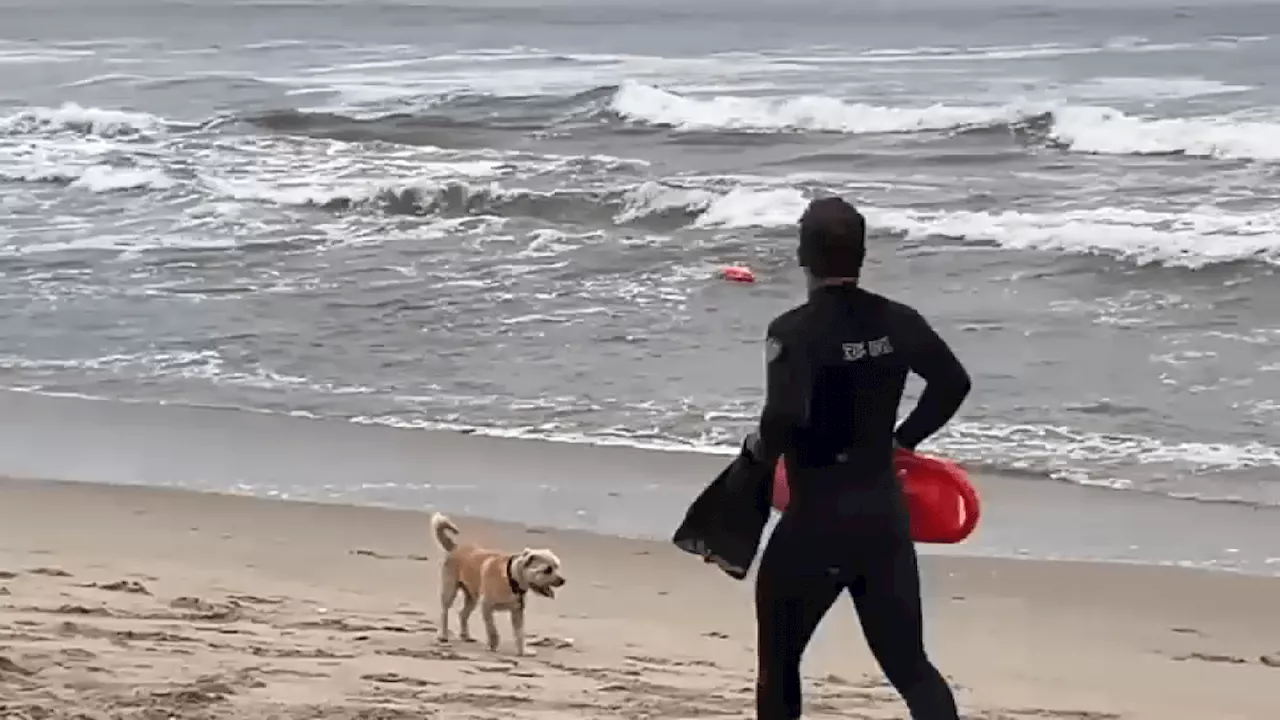 Santa Monica lifeguards lead effort to get first responder status