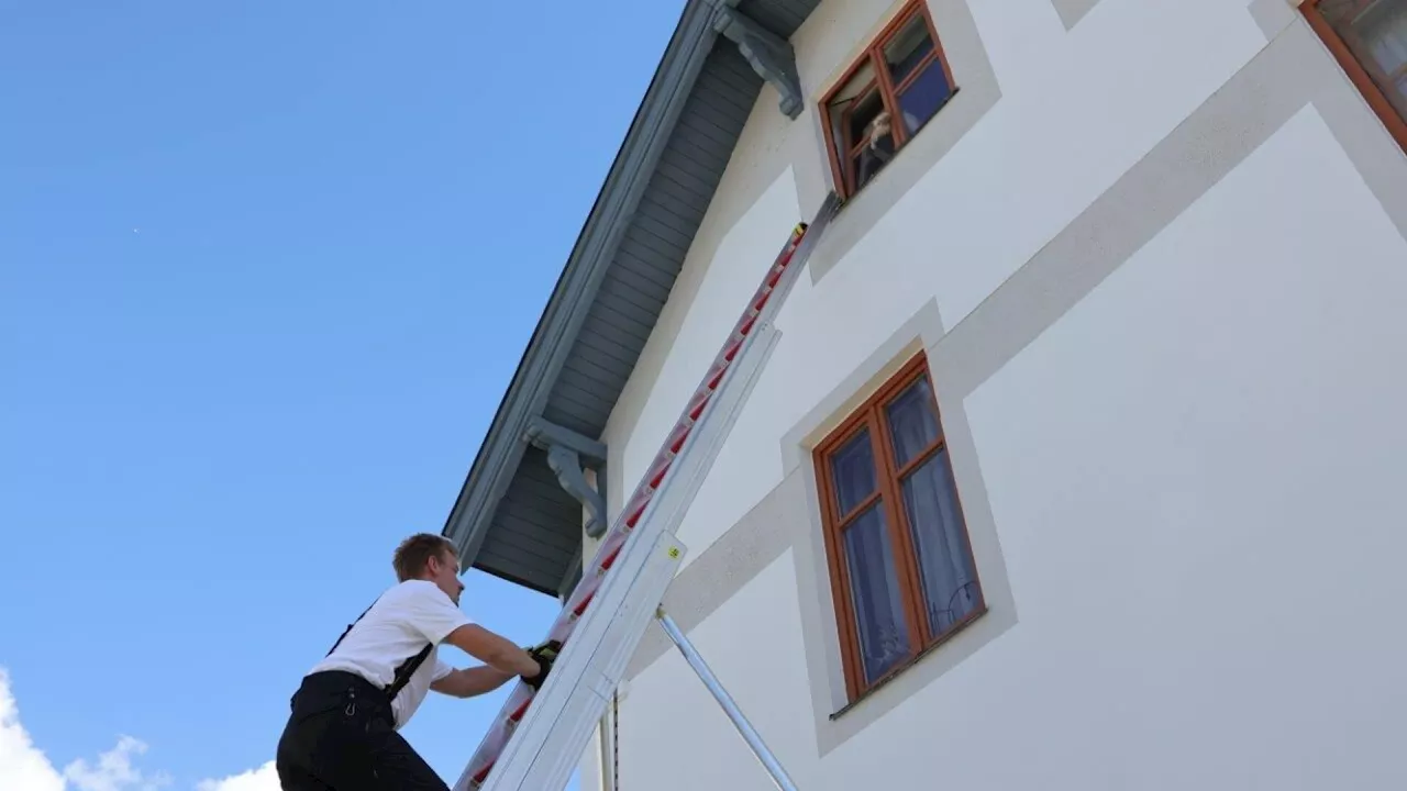 Feuerwehreinsatz: Katze steckte stundenlang im Fenster fest