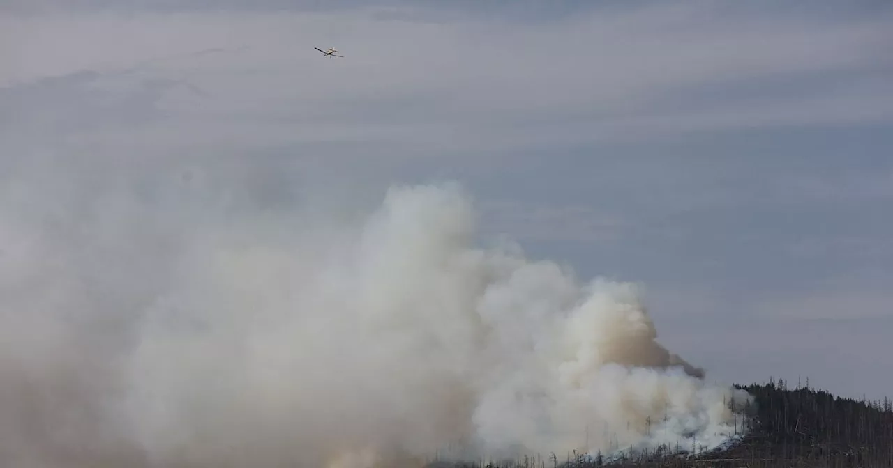 Große Feuerfront am Brocken im Harz