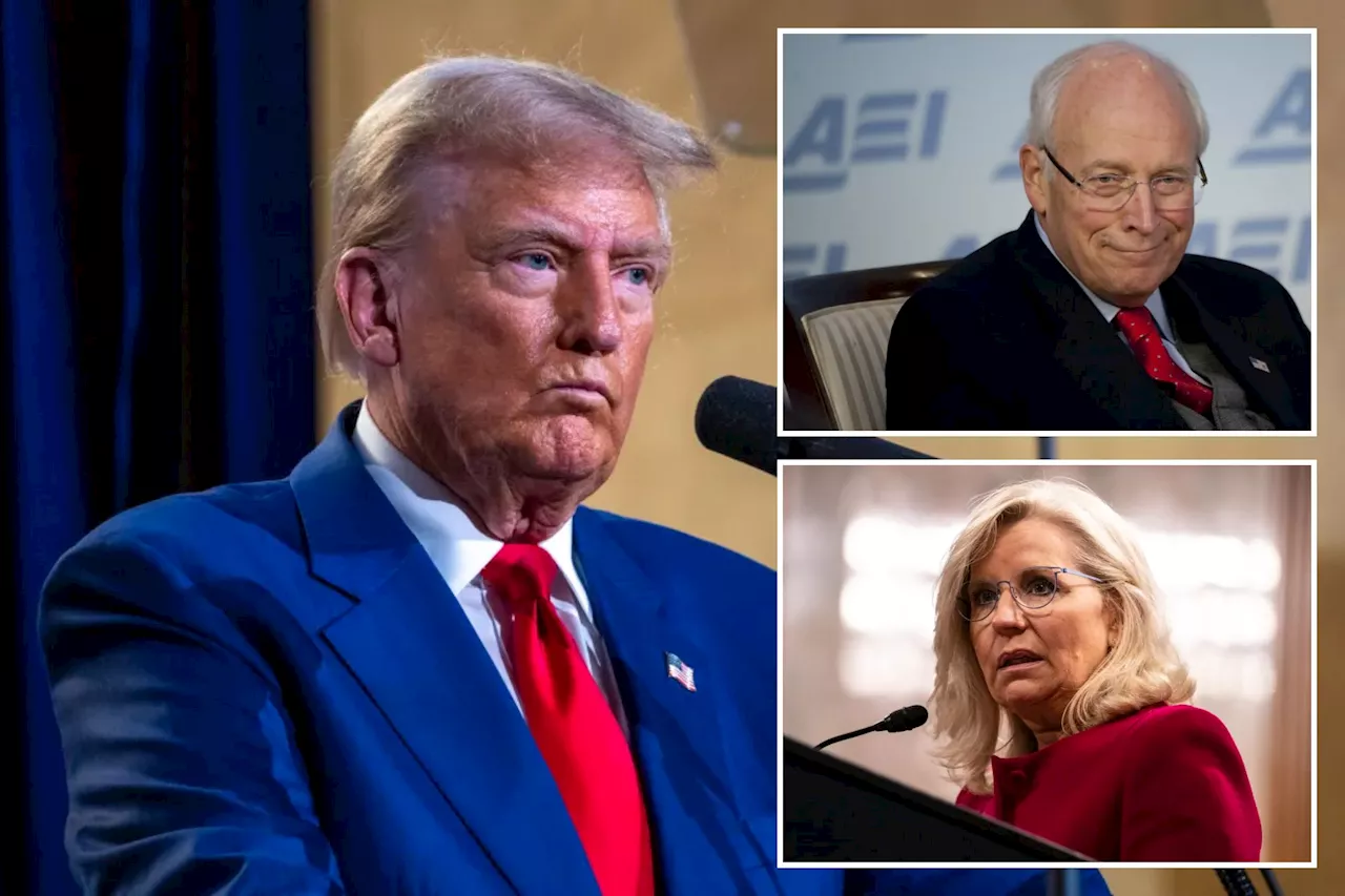 Trump trashes Dick, Liz Cheney after they back Harris for White House: 'Irrelevant RINO'