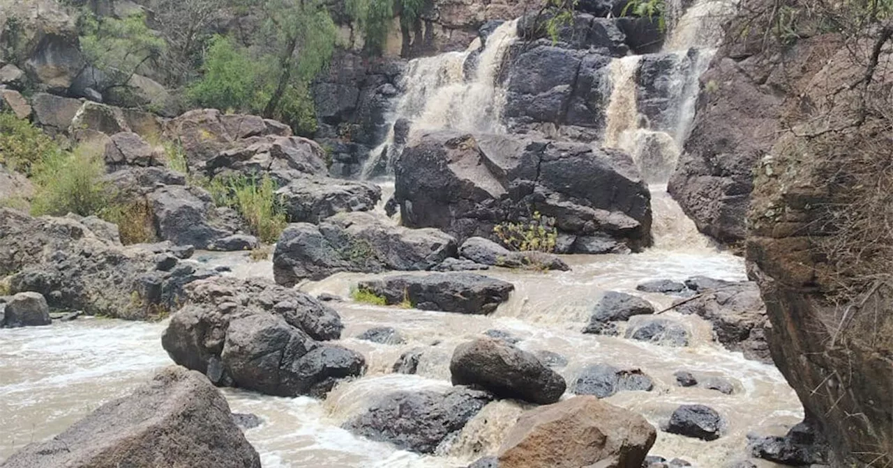 Conahcyt reconoce al Charco del Ingenio de San Miguel de Allende como el Jardín Etnobiológico