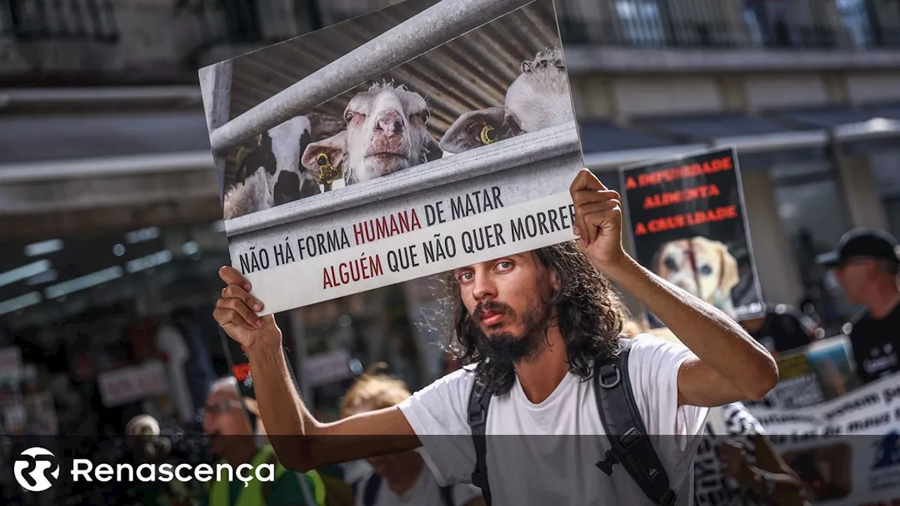 Marcha pelos direitos dos animais junta duas centenas em Lisboa