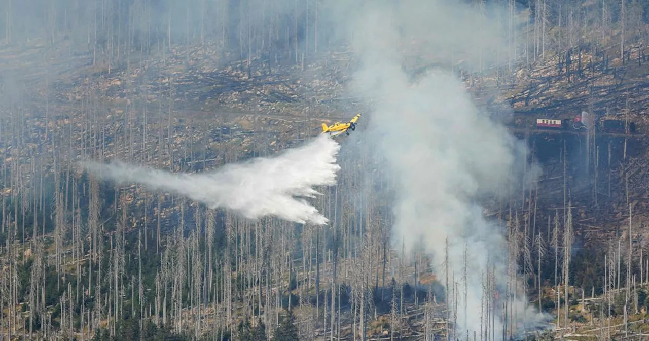 Feuer Harz/Brocken: 180 Kräfte, 4 Flugzeuge, 3 Hubschrauber kämpfen gegen Flammen