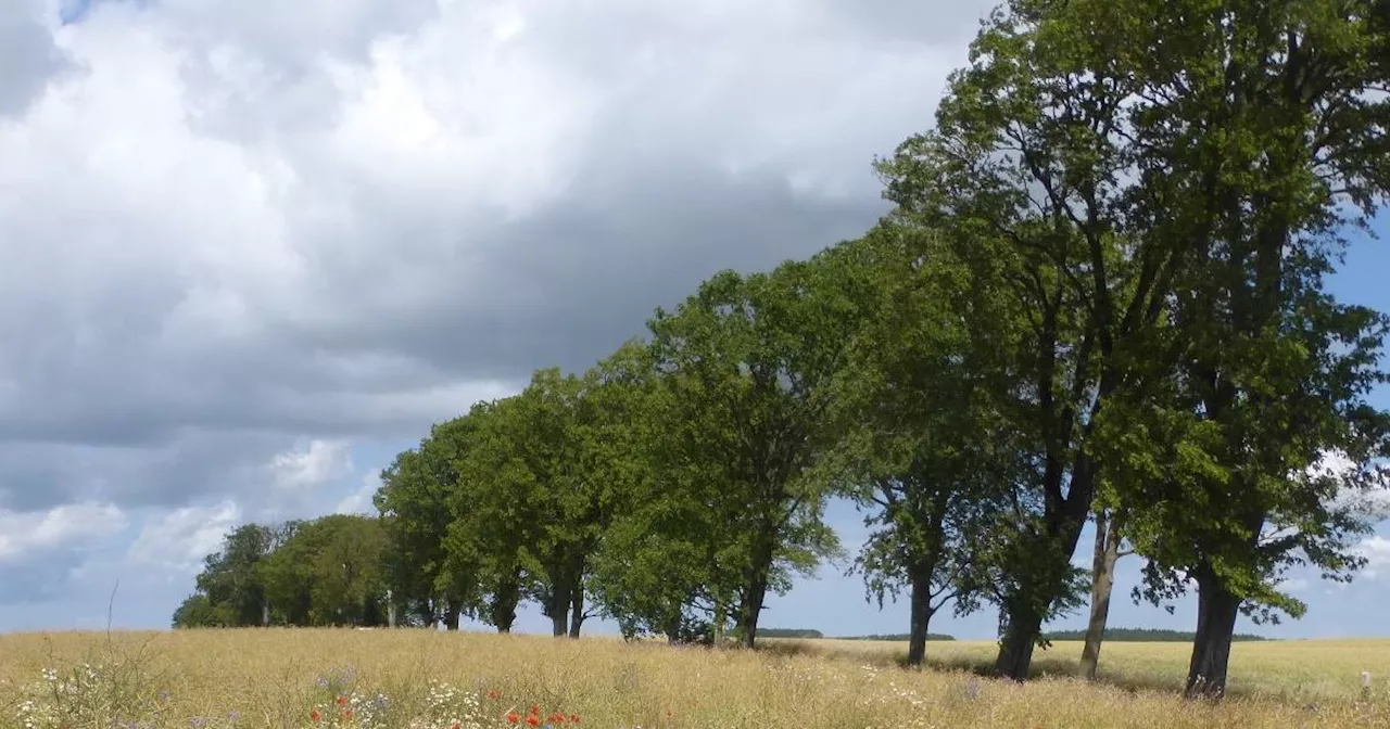 Mönchgut: Rügen ohne Rummel