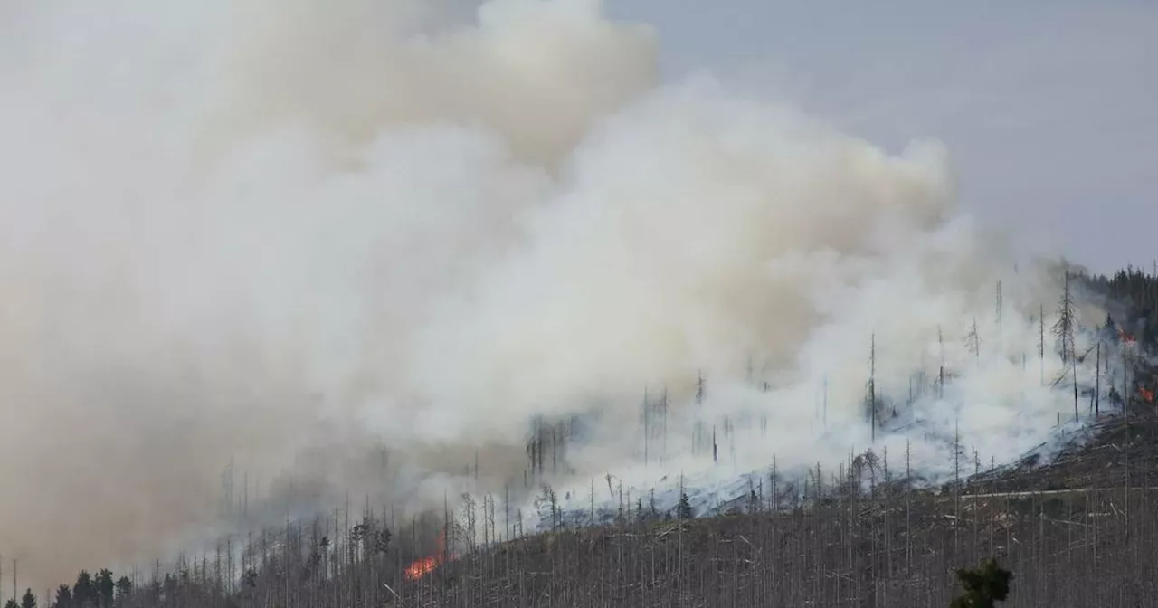 Waldbrand auf dem Brocken im Harz breitet sich weiter aus