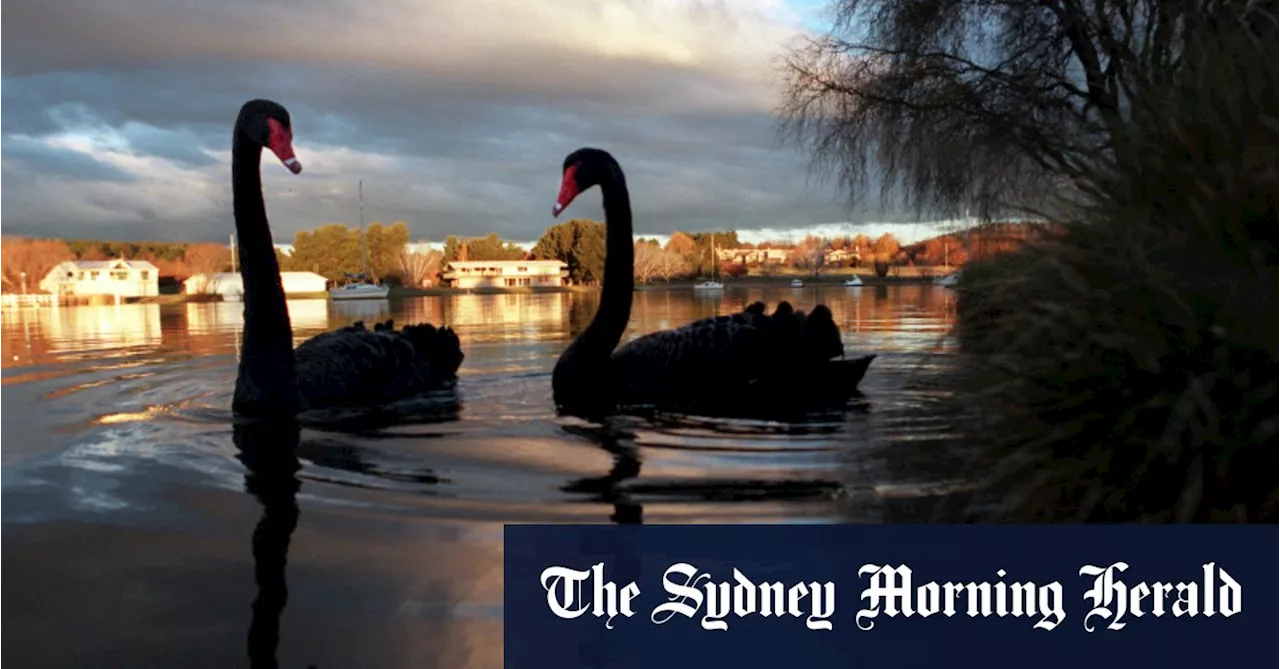 ‘It’s just a matter of when’: Australia war-gaming deadly bird flu outbreak