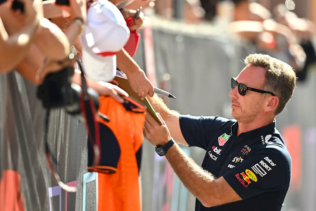 Christian Horner: «Brauchten Bestleistung von Max»