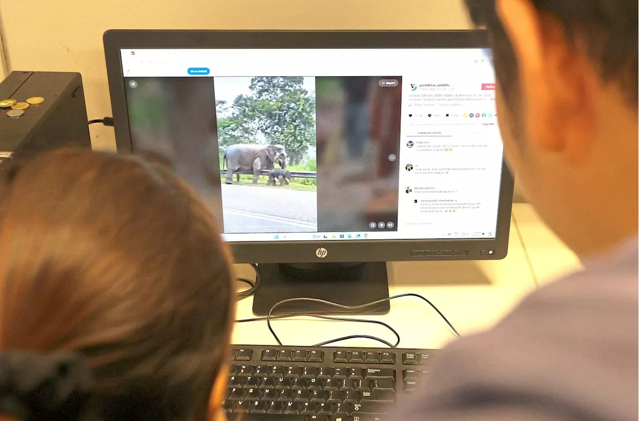 Socmed a double-edged sword for wildlife