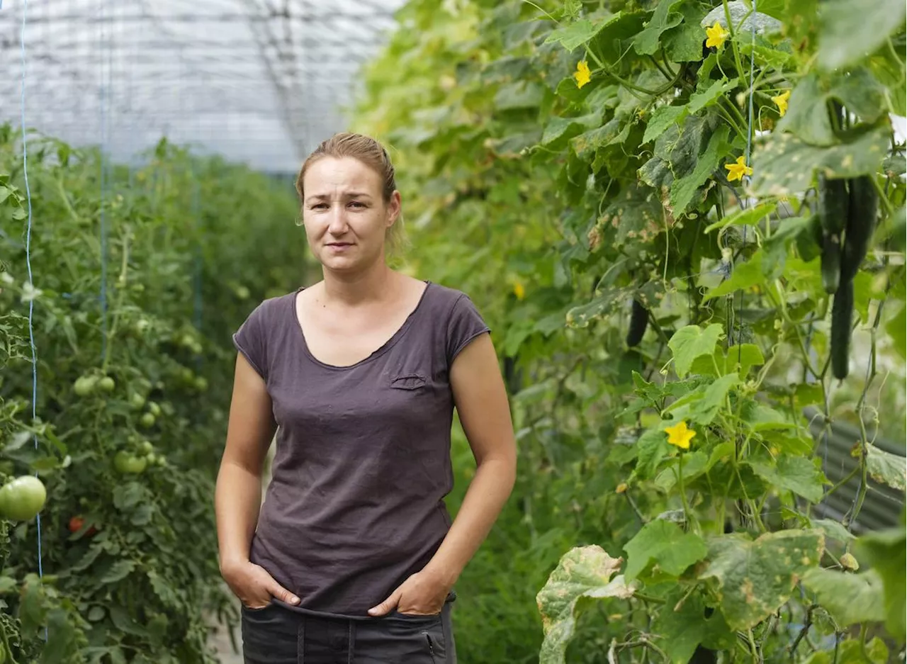 Landes. « On devient producteurs de photons et pas d’alimentation » : feu vert donné au projet Terr’Arbouts, le Modef et la Sepanso réagissent