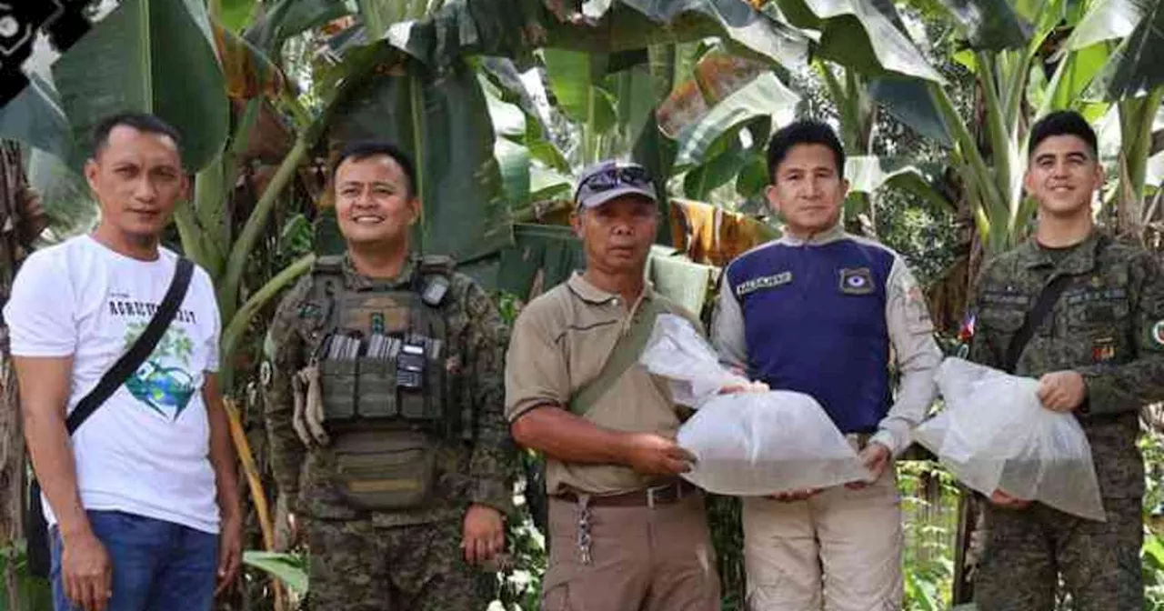 Aquaculturists in 3 Lanao towns get tilapia fingerlings