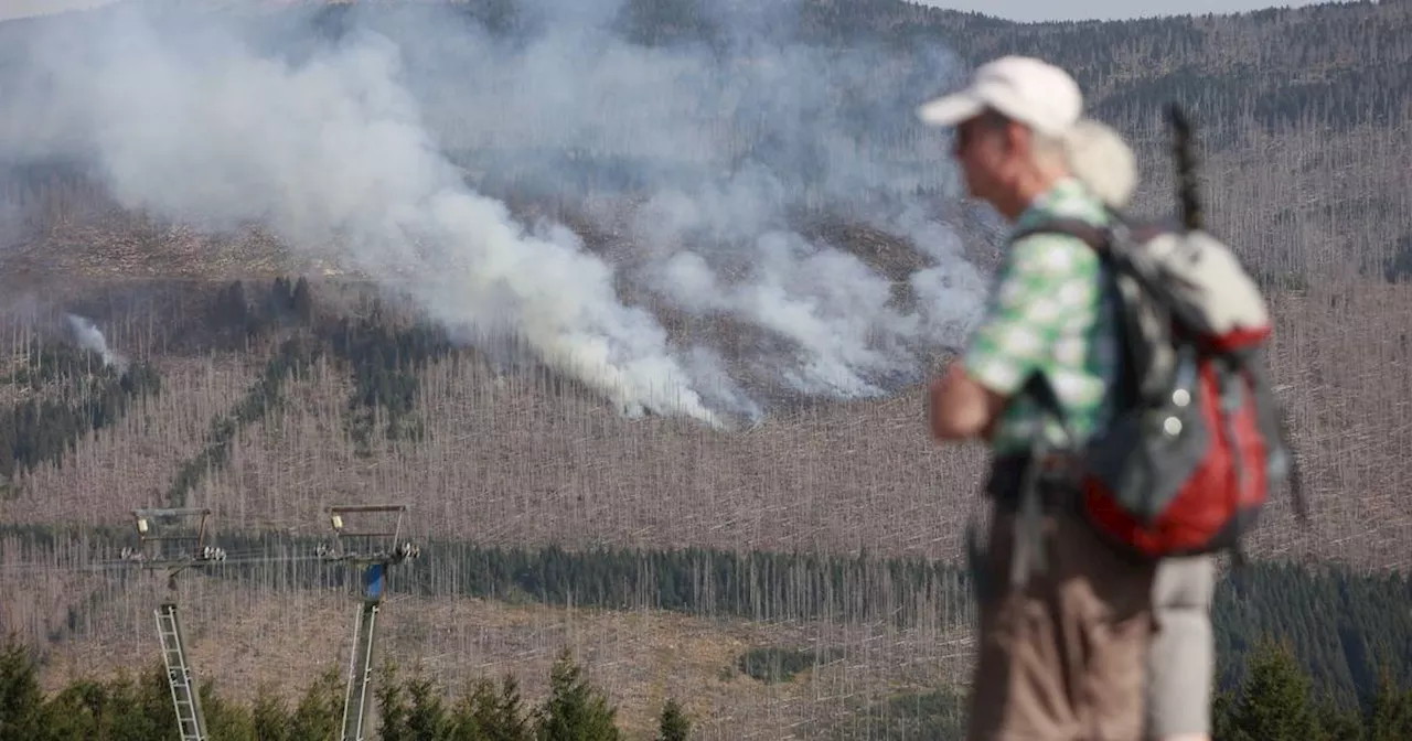 Feuerwehr stellt sich auf mehrtägigen Einsatz am Brocken ein