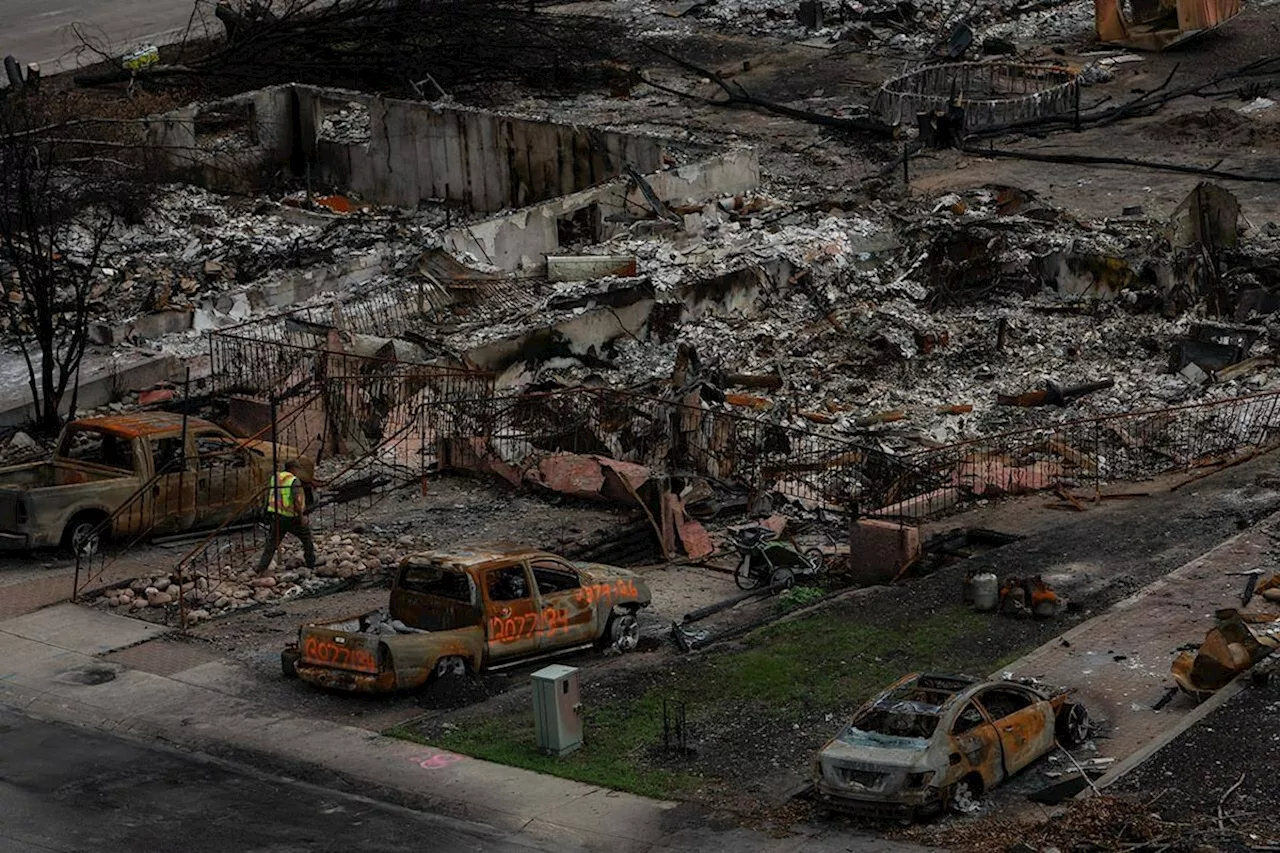 Devastating Jasper wildfire now listed as under control, Parks Canada says