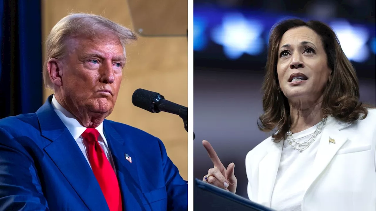 Donald Trump Plans to Tower Over Kamala Harris with ‘No Boxes’ Last-Minute Debate Ask