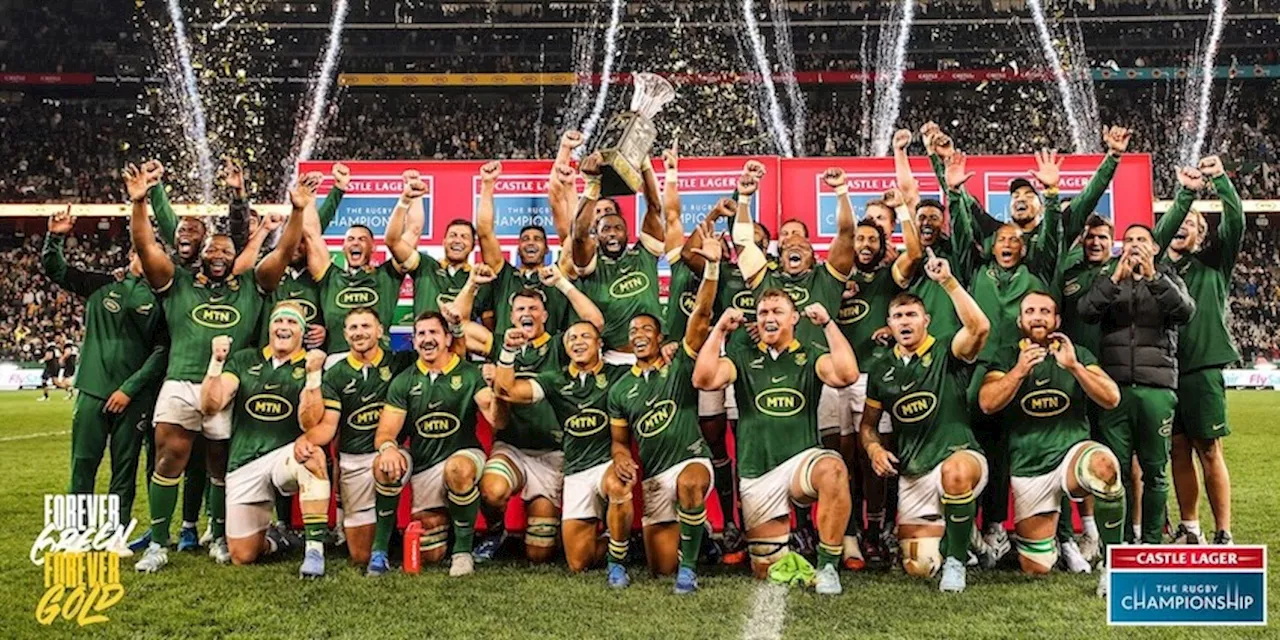 Player ratings: Dapper Damian delivers Freedom Cup for Springboks