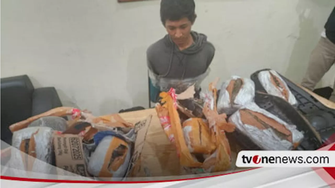 Kodim 0201/Medan dan Polrestabes Medan Gagalkan Kiriman Paket Narkoba Jenis Ganja