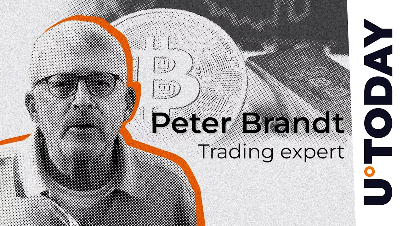 Peter Brandt Clashes With Peter Schiff Over BTC/Gold Debate