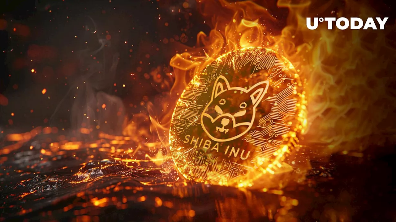 SHIB Burns Skyrocket 1,664% Thanks to Big Whale – 250 Million SHIB Gone