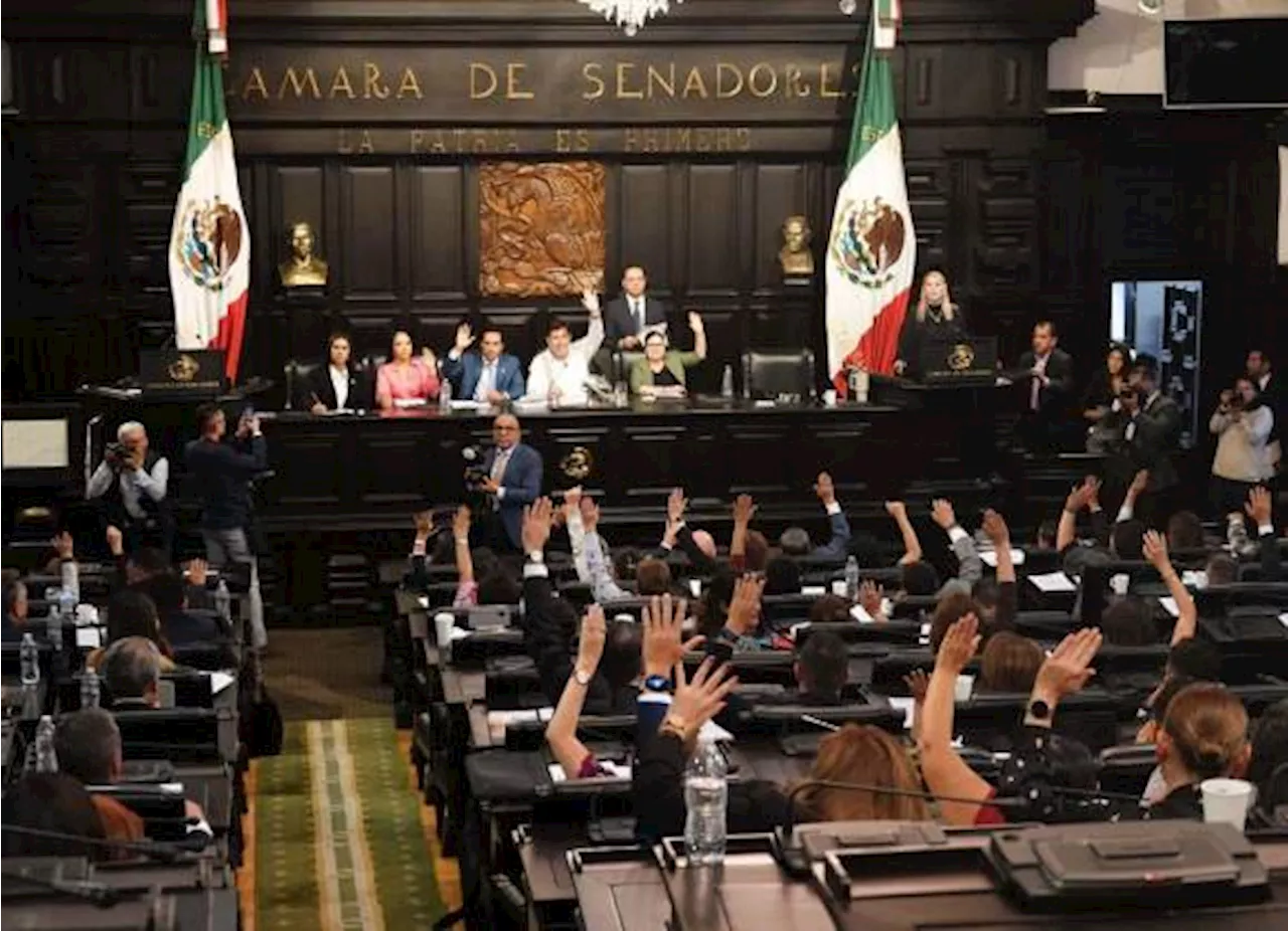 Preparan proyecto de dictamen de reforma Judicial en el Senado