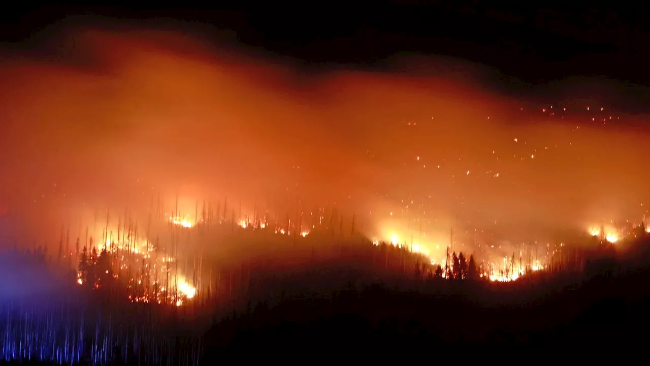 Gebiet im Harz evakuiert: Große Feuerfront am Brocken