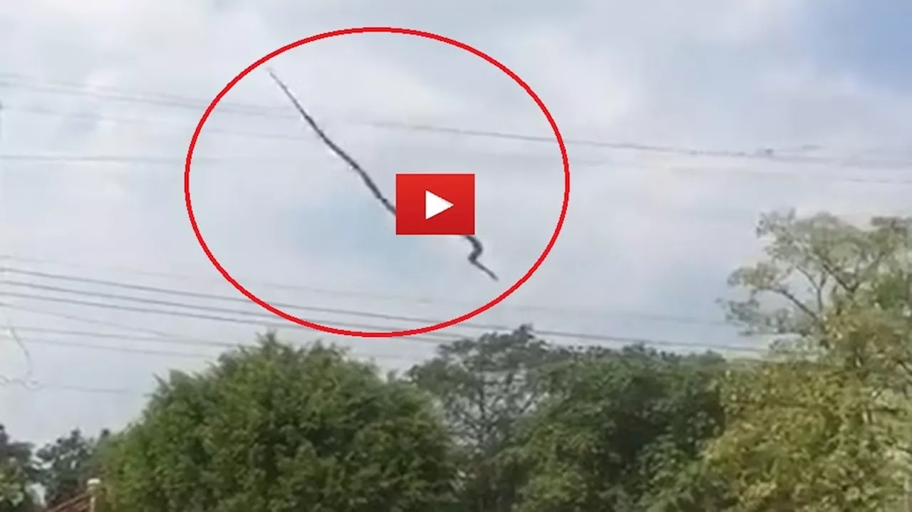 Flying Snake Video: ಹಾವು ಹಕ್ಕಿಯಂತೆ ಹಾರಾಡುವುದನ್ನು ನೋಡಿದ್ದೀರಾ? ಇಲ್ಲವಾದರೆ ಚಾಲಾಕಿ ಸರ್ಪದ ಈ ವಿಡಿಯೋ ನೋಡಿ… ಬಲು ಅಪರೂಪದ ದೃಶ್ಯವಿದು