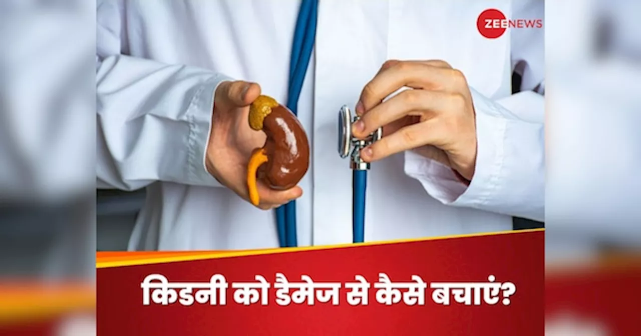 Kidney: कहीं आपकी किडनी न हो जाए डैमेज, बचने के लिए इस तरह बदलें अपनी लाइफस्टाइल