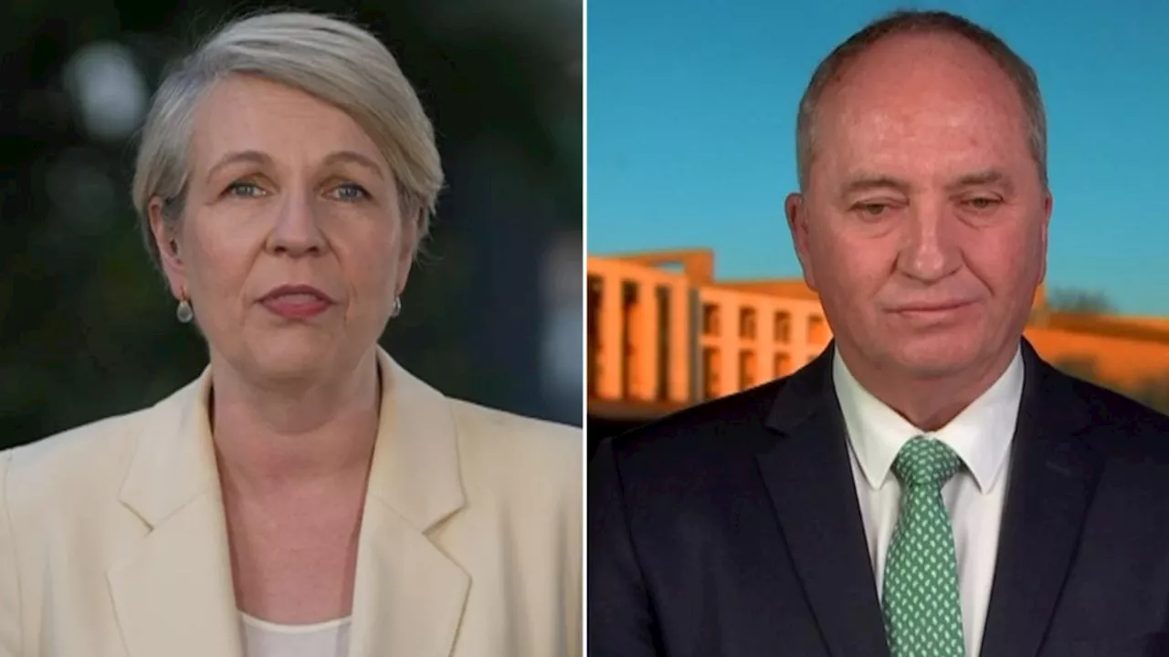 Nationals MP Barnaby Joyce and Minister for the Environment Tanya Plibersek clash over damning Albanese poll numbers