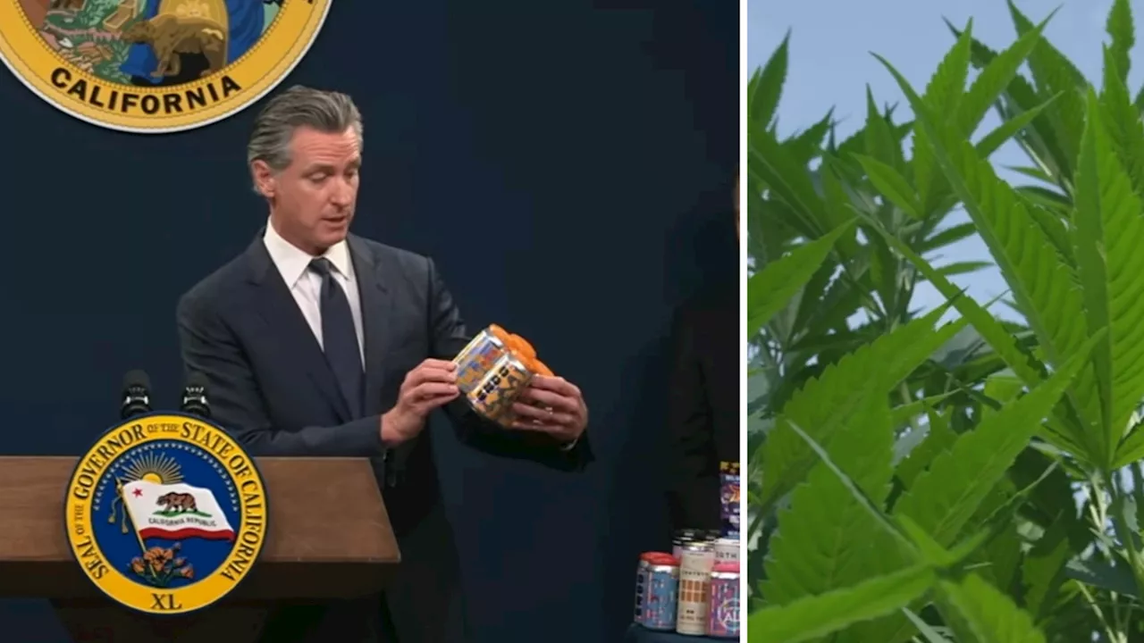 Gov. Newsom proposes THC product regulations citing concerns about children accessibility