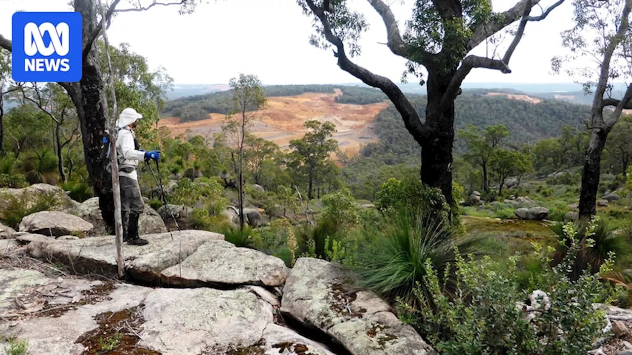 Bibbulmun Track hikers, Munda Biddi bikers say trails need protection as Alcoa, South 32 look to expand