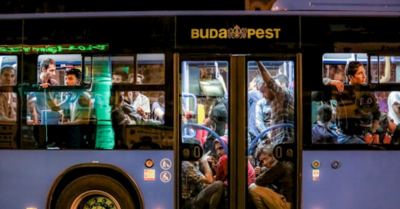 Hungary Vows One-Way Bus Tickets for Illegal Migrants to EU Capital Brussels