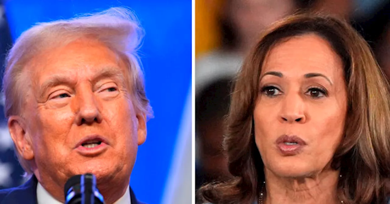 Nolte: Trump Tops Kamala in New York Times/Siena National Poll