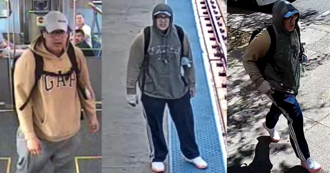 CPD seek suspect in stabbing, battery on CTA Red Line trains