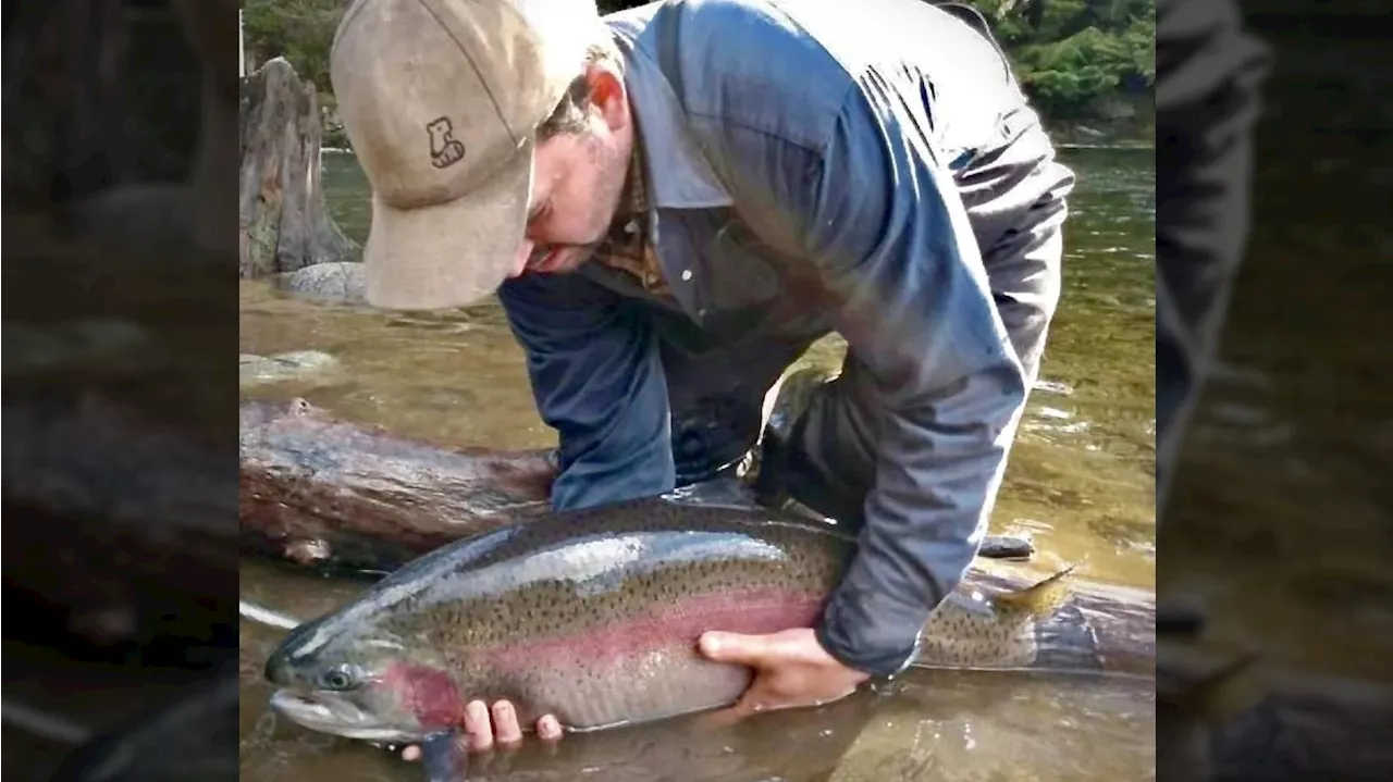 B.C. fish farm slapped with hefty fine for illegal operations