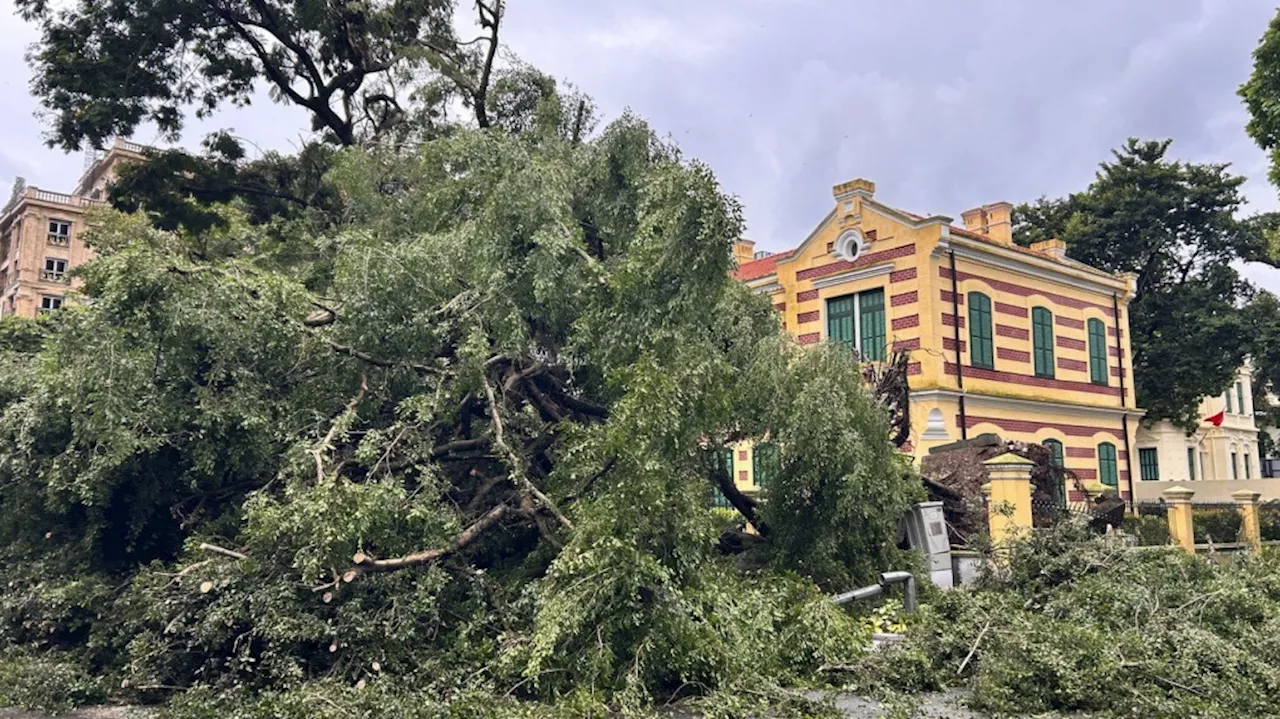 Typhoon Yagi kills 14 in Vietnam as officials warn of heavy rain that can cause flooding