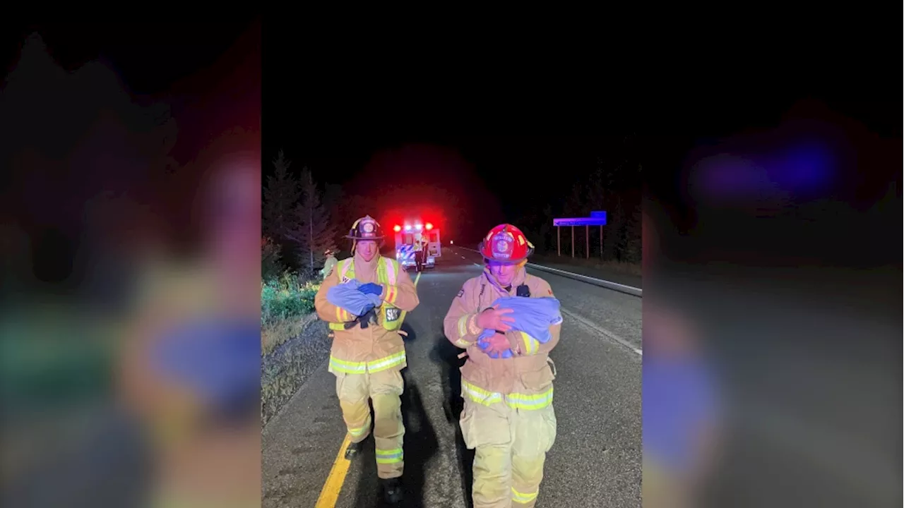 2 people extricated, 2 cats saved following vehicle rollover on Highway 417 in Ottawa