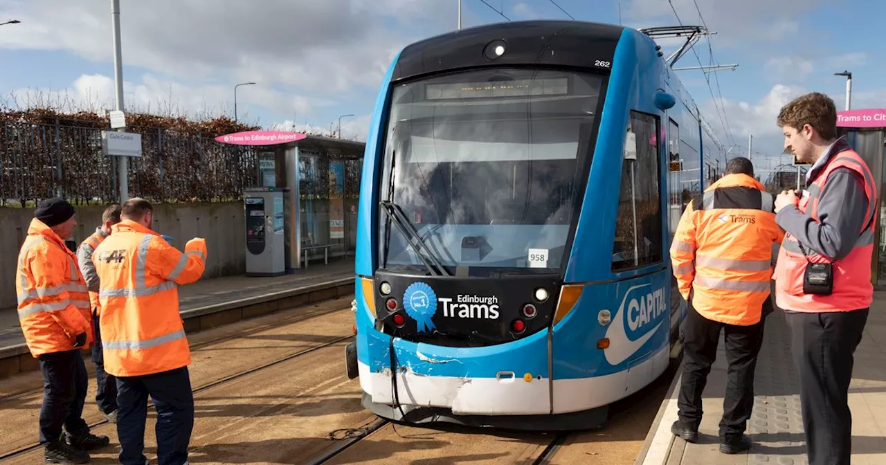 Six pedestrians hit by trams since the service began