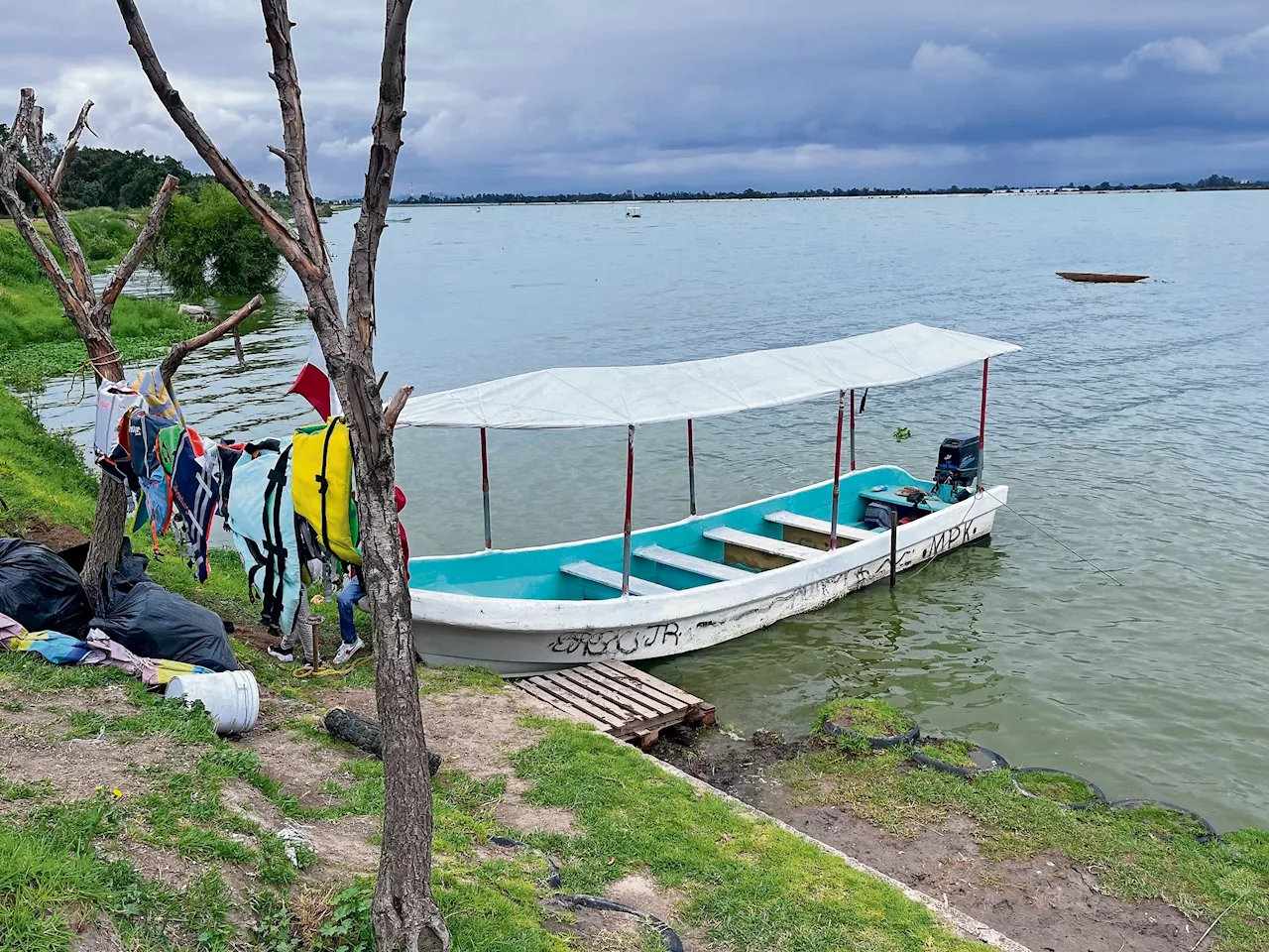 Vuelve a la vida Laguna de Zumpango