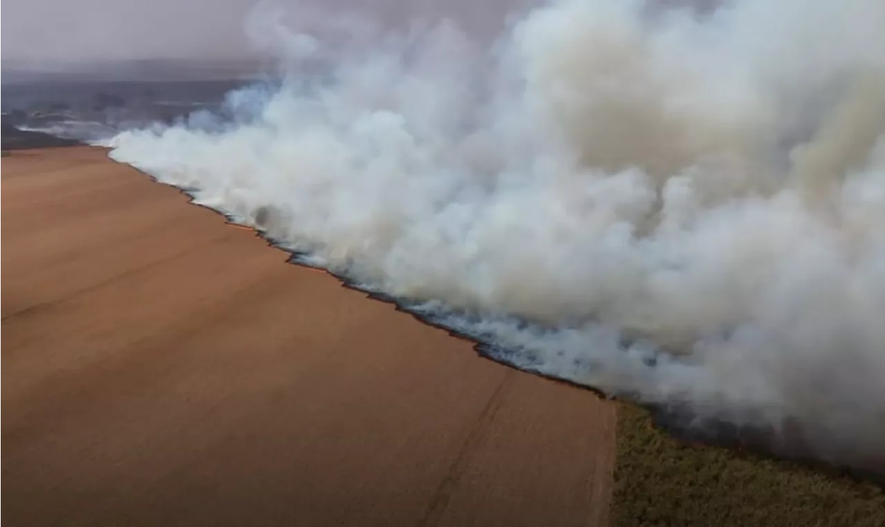 Seca histórica: como a estiagem afeta vidas de Norte a Sul do Brasil