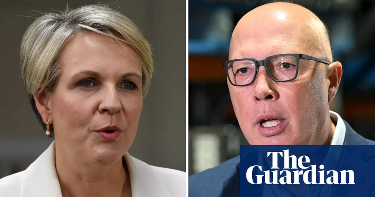 Tanya Plibersek accuses Peter Dutton of intent to ignore Indigenous heritage for mining projects