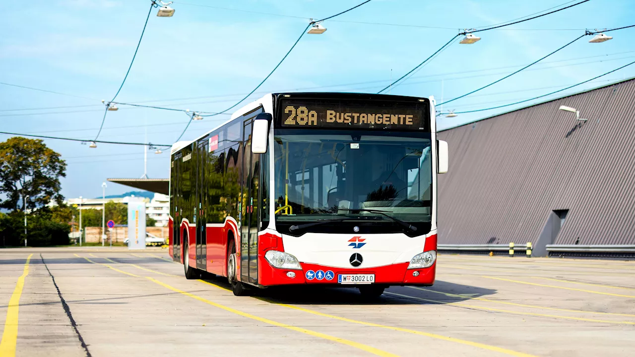 Schneller in die Innenstadt - Neue Buslinie fährt auf 'Transdanubien-Tangente'