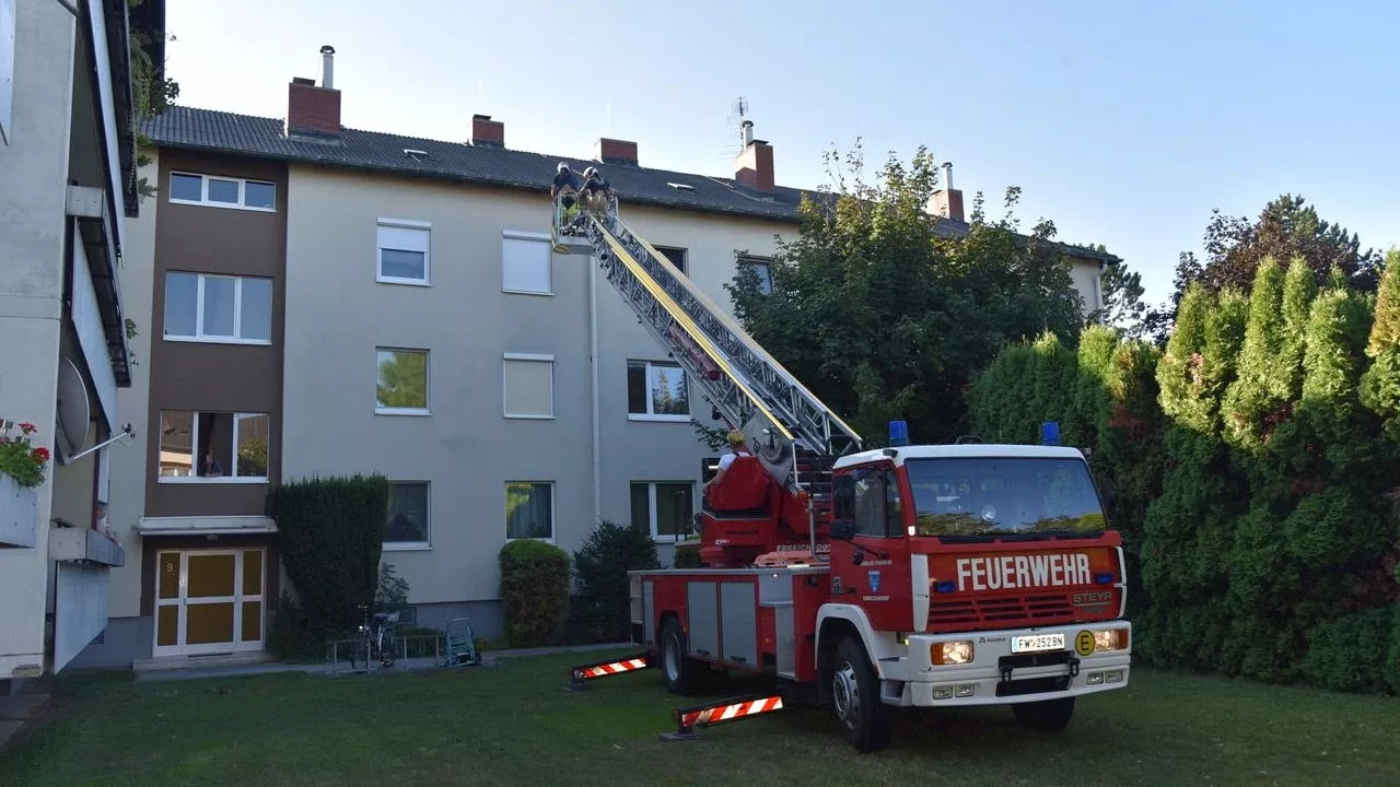 Ungewöhnliche Tierrettung - Feuerwehr rettet in Ebreichsdorf Vogel aus Dachrinne