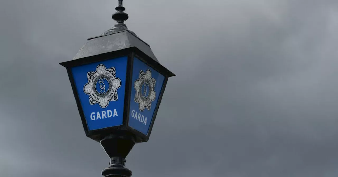 Woman, 30s, stabbed in neck during horror attack in north Dublin