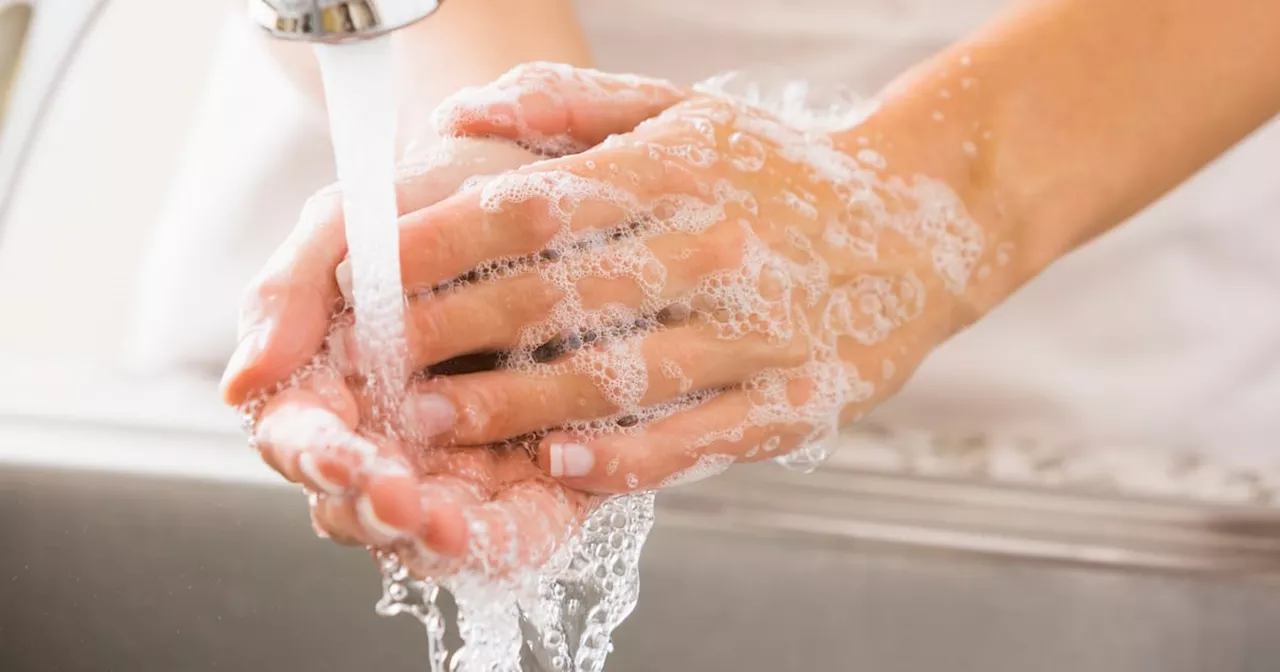 Bar soap or liquid soap: which is better for the environment and your wallet?