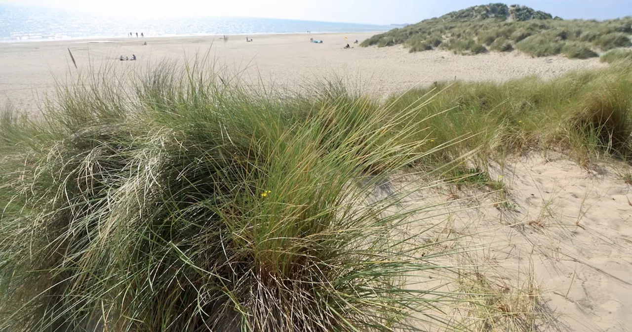 How coastal erosion is changing beach made famous in Saving Private Ryan