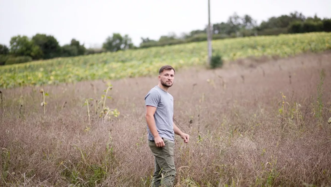 'Ils ont déconné, ils auraient dû nous stopper': des agriculteurs gersois désespérés par le dossier coriandre