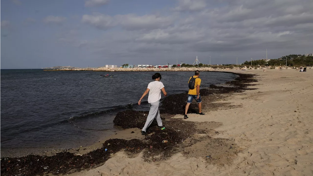 À Marseille, certaines plages portent encore les stigmates du déluge de mercredi