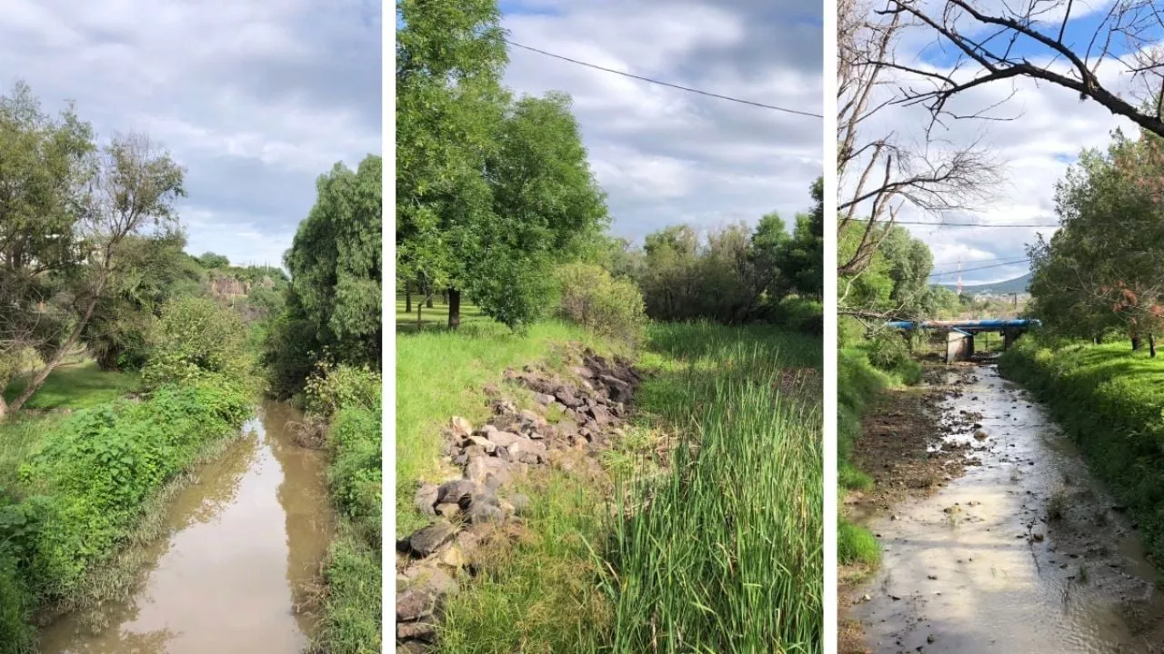 El Molino retiene agua y no llega a la presa de El Palote