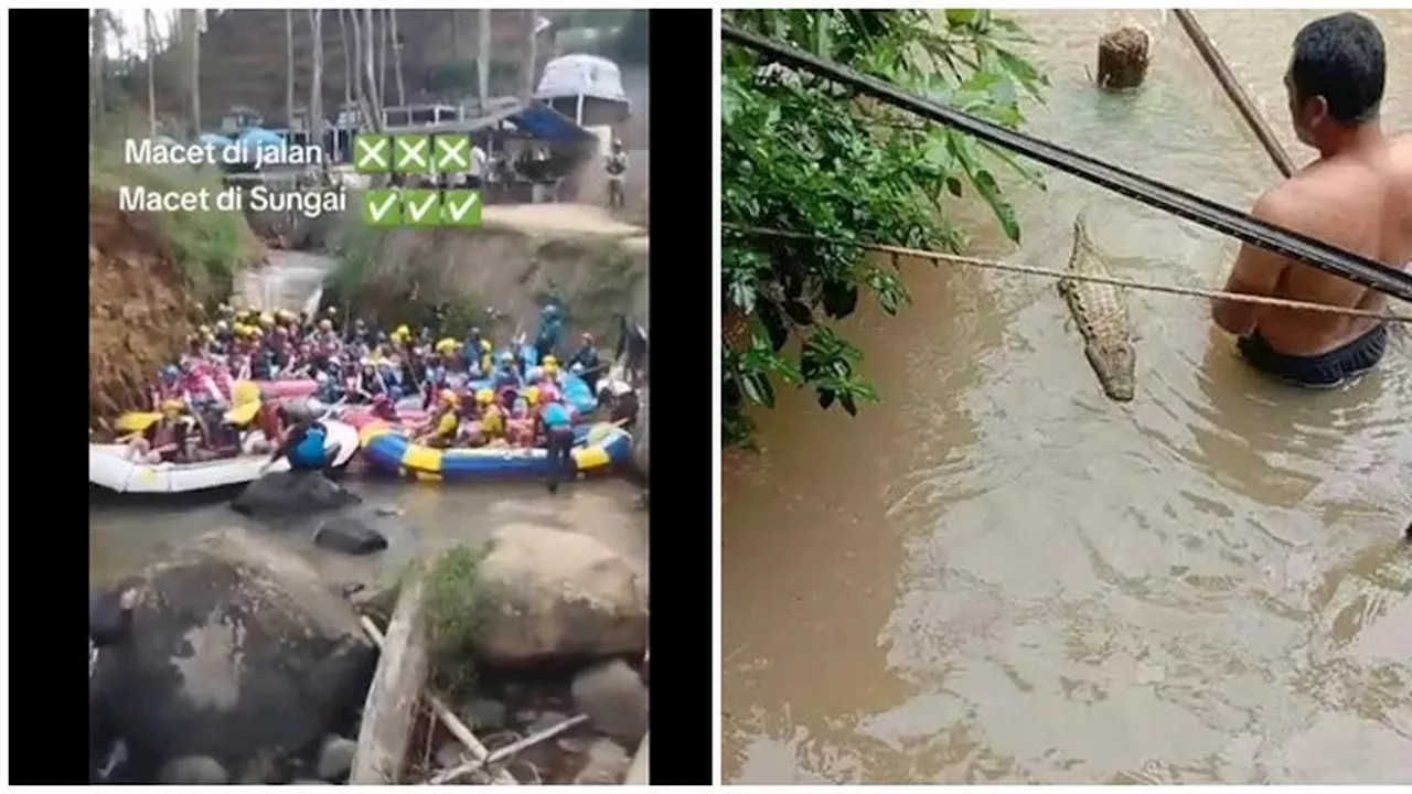 6 Momen Apes Orang di Sungai Ini Bikin Elus Dada, Gagal Main Air