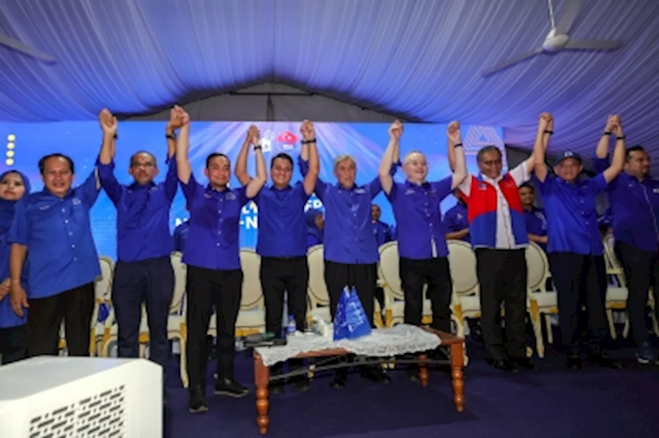 BN chooses Kluang Umno Youth chief Syed Hussien for Mahkota by-election on Sept 28